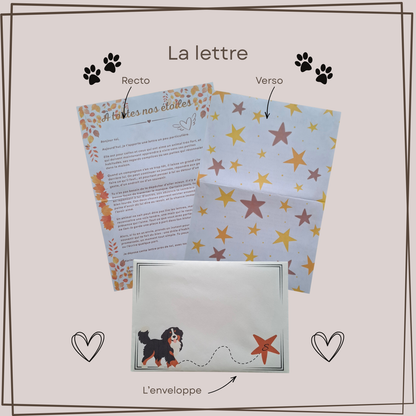Aperçu recto verso de la lettre du Mail Club Mon étoile, décorée d’étoiles, de cœurs et d’empreintes de pattes en hommage aux animaux disparus.