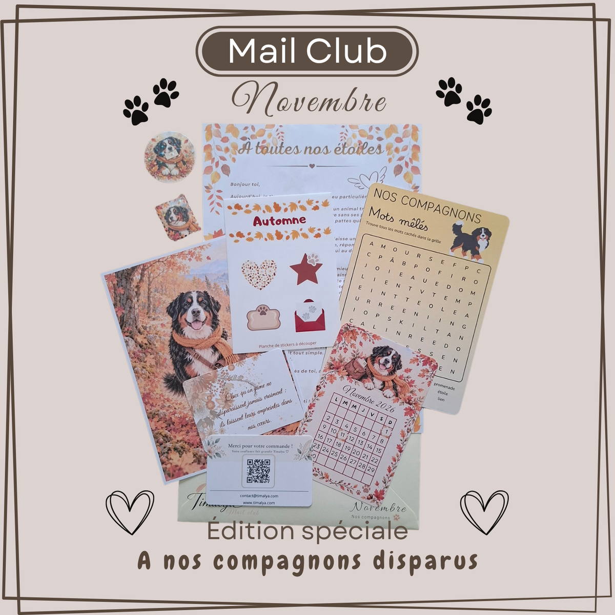Aperçu du Mail Club de novembre « Mon étoile », avec sa lettre, son calendrier illustré, ses cartes, ses stickers et ses jeux en hommage aux animaux disparus.