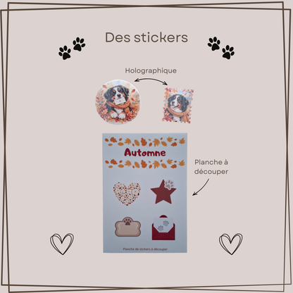 Aperçu des stickers du Mail Club Mon étoile : deux autocollants holographiques illustrés avec bouvier bernois et une planche à découper sur le thème de l’automne.